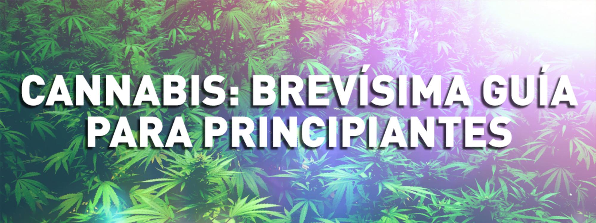 guia cannabis